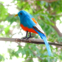 仿真羽毛小鳥喜鵲珍珠鳥花園陽臺花卉假鳥裝飾攝影道具工藝品擺件