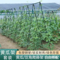 ✨貨損包賠✨戶外爬藤架 種菜 專用架子 傢用庭院 黃瓜豆角架 清倉 包塑鋼管 陽臺支架 爬藤架子 架子