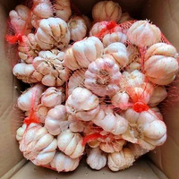 Bawang Putih Sinco 500 GR