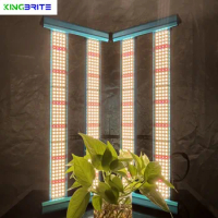KingBrite 240W LM301H /LM281B mix Epistar 660nm UV IR Full Spectrum Led Grow Light Bar