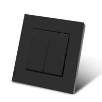 WESA Black Frosted Light Wall Switch Flame retardant Plastic Panel Double Button 2 Gang 1 Way Wall Rocker Switch On And Off AC