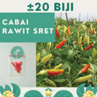 20 Benih Bibit Cabe Cabai Rawit Sret Merah Setan Benih Sayuran Pedas Bintang Asia Unggul Berkualitas
