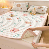Nệm Chải Tươi, Đệm, Thích Hợp Cho Sinh Viên, Hộ Gia Đình Và Ký Túc Xá, Đệm, Có Thể Giặt Được, Chần B