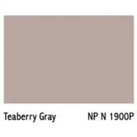 Nippon Paint Vinilex Pro 1000 Cat Tembok Interior Tingting 4,5 Kg Soft Tissue Teaberry Gray