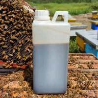 Madu asli murni hutan akasia Riau 1kg grosir madu hutan sumatera akasia carva