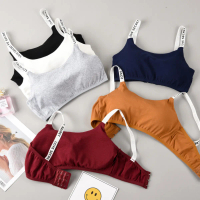 Bra Sport Wanita Seamless Love Secret Push Up BH Sexy Bahan Cotton Elastis Remaja Gym Fitness Senam 