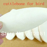 Free shipping pet products living Cuttlefish bone for bird turtle 5pcs /lot