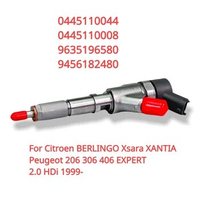 0445110008 0445110044 9635196580 Diesel Fuel Injector For Citroen Xsara XANTIA / Peugeot 306 406 EXPERT 2.0 HDi 2000-