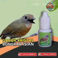 Vitamin Burung SRDC Sikatan Rimba