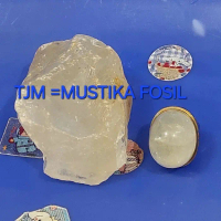 Batu Fosil MG Super Kristal / Full Kristal Estimasi 25x20x10 Kualitas Super Hi Quarity