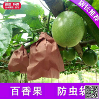 百香果套袋育果袋防蟲袋防蚊蠅防水單層專用紙袋透氣透光環保包郵-UM.有米家居
