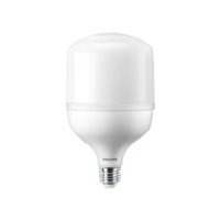 【Philips 飛利浦】2入 LED 20W 中低天井燈泡 大燈泡 高亮度燈泡 廠房燈泡 夜市燈泡 超亮燈泡