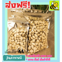 ถั่วพิสตาชิโอ พร้อมทาน พิตาชิโอ อบเกลือ พิสตาชิโอ้ Salted Pistachio พิตาชิโออบเกลือ ขนมติดบ้าน ถั่วพ