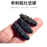 Dalian light dry sea cucumber dry goods pure wild Liaoshen stichopus non-ready-to-eat sea cucumber ป