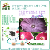 【綠藝家】大包裝H54.蔓性牽牛花種子(早輝) 10克(約150顆)