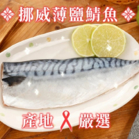 【亨睿食品】超人氣挪威鯖魚片(超值10入組)
