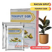 Toxiput 5GR Racun Siput dan Lintah