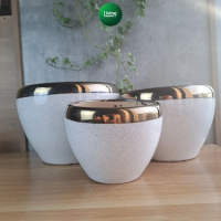 Chậu trồng cây gốm sứ men trăng tiêu miệng vàng - Chậu ghép lan để bàn sang trọng | Living Decor