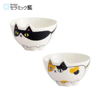 【陶瓷藍】日本貓3兄弟和鄰居貓型飯碗