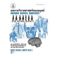 【COD】 ❤ตำราเรียน ม.ราม OPT3101 (OPT311) มหกายวิภาคศาสตร์ของมนุษย์✥