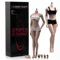 TBL 1/6 S18A S19B S20A S21B S22A S23B Seamless Body Suntan/Pale Skin Middle/Large Breast 12" Female Action Figure Body
