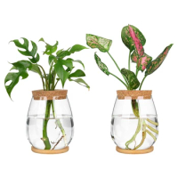 2 Pcs Separated Desktop Plant Terrarium Set Kit With Wooden Tray &amp; Lid For Propagating Hydroponic