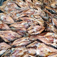 ikan asap(salai)baung sungai Kering Asin