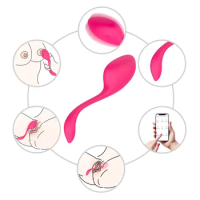 Female Adult Masturbation Sex Toys Flamingo Mobile App Offsite Remote Control Erotic Vibrator Woman Wear Clitoral Stimulator