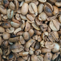 Green Bean/Biji Kopi Arabika Anerob Flores - 1000G(1KG)