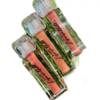 LIPMATTE R-SHA // LIPSERUM NEW ITEM READY 3code Makeup Lipstick