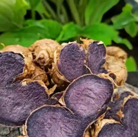 kunyit hitam asli 100 gram