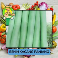 Benih Kacang Benih Bibit Murah Berkualitas Kacang Panjang Manis