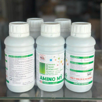 Combo 5 chai Amino Mỹ -500ml