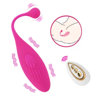 Wireless Remote Control Vibrator Clitoral Stimulator G Spot Massager Panties Vibrating Egg Masturbator Sex Toys For Women