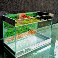 AQUARIUM minimalis  30 x 15 x 20 , variasi Lis cermin dan background gambar
