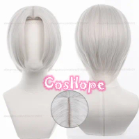 Izana Kurokawa Cosplay Wig 34cm Short Straight Silver Grey Wig Cosplay Anime Cosplay Wigs Heat Resistant Synthetic Wigs