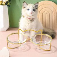 A Flexible  Cat Double Bowl Glas with Stand and Mat Pet Kitten Puppy Transparent Food Feeding Dish W