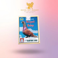 RPM Jamu Merpati Balap Menambah stamina merpati