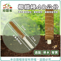 【綠藝家】椰纖棒 40公分(塑膠中柱防霉)攀爬類植物.水苔棒.椰纖柱.椰棒