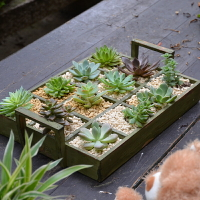 美式12格子多肉花盆植物拼盤組合木質花盆長方形花架木托盤收納盒