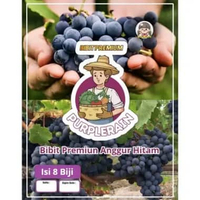 Bibit Unggul Anggur Hitam |Biji Benih Anggur
