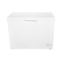 【TECO 東元】300L 上掀式臥式冷凍櫃 RL3002W(含基本安裝)
