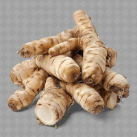 Terlaris Kunyit Putih /Kunir Putih / Temu Putih 1 kg Segar