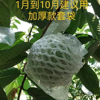 【新店促銷】包郵滿減優惠袋水果網套芭樂番石榴袋專用袋子農業一體果袋