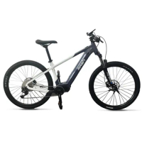 Electric Bike for Adults, Mountain Ebike 250W Motor, 29*2.2 with 36V Removable Battery, E-MTB with 11 Speed Gears