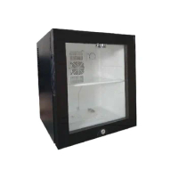 2023 black glass door 30L cooler mini fridge refrigerator for drinks