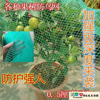 【宜家良品百貨】防鳥網 防鳥罩櫻桃網果樹防鳥網果園尼龍網防護罩防雹網葡萄蔬菜草莓網