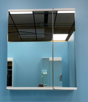 【Leaderya】(含運)台灣製 60cm 日式雙鏡門邊格收納鏡櫃 浴室鏡櫃 鏡櫃 多格收納 鏡面無除霧 (LAMB-60A)