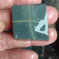 BAHAN BATU AKIK TAPAK JALAK BADAR BESI ORI BERGARANSI