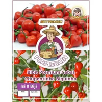 Bibit Premium Cabe Chupetinho Biquinho |Benih Cabe Hias
